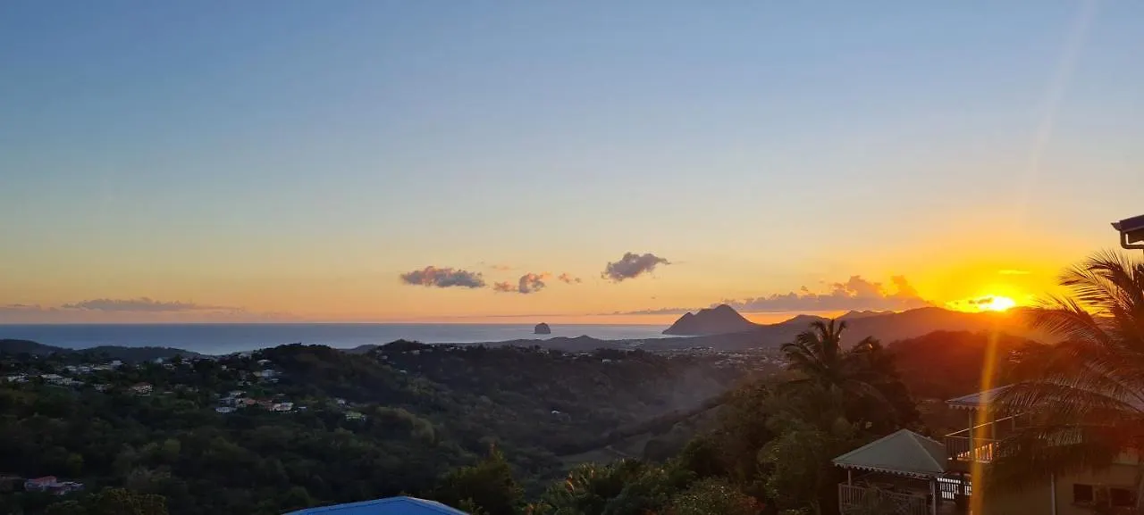 Villa Lineddy/Zinnia Guinee-Fleury